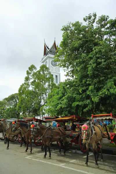 West Sumatra Indonesia Gennaio 2019 Dokar Mezzo Trasporto Tradizionale Trainato — Foto Stock