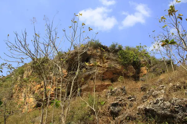 Karst Hill bölgesi kurudur ve sadece meşe ağacı gibi sert ağaçlar yetiştirebilir.