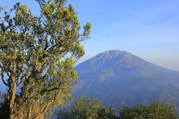 stock image Merbabu Mountain on a sunny morning seen from Boyolali, Central Java, Indonesia.