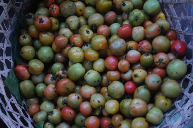 Sepetteki farklı olgun varyantlarla domates ya da Solanum lycopersicum. Sebze patlıcan ailesi genellikle meyve olarak kabul edilir çünkü olgun olanlar doğrudan yenebilir ve tatlı bir tadı vardır..