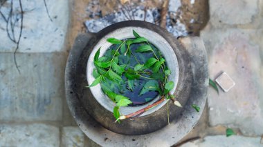 Yeşil Neem yaprakları Azadirachta indica olarak bilinir. Chulha 'da suda kaynatılmış. Kaynar neem, nimtree veya kil sobada Hint leylağı. Hint köyünün banyo ve sağlık sigortası için kullanımı.