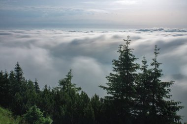 Serak 'tan Jeseniky dağlarına bak sisli bir yaz sabahı ve dağ zirvesinin etrafındaki bulutlardan oluşan bir deniz.