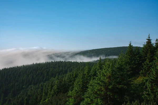 Blick Von Serak Jeseniky Gebirge Auf Einen Nebligen Sommermorgen Und — Stockfoto