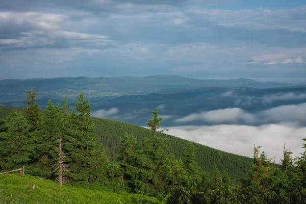 夏の霧深い朝と山の頂上付近の雲の海でJeseniky山のSerakからの眺め — ストック写真