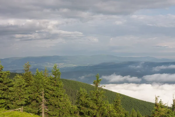 夏の霧深い朝と山の頂上付近の雲の海でJeseniky山のSerakからの眺め — ストック写真