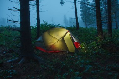 Green lightweight freestanding three-season 2-person tent on forest in the morning after rain  in Beskid Mountains clipart