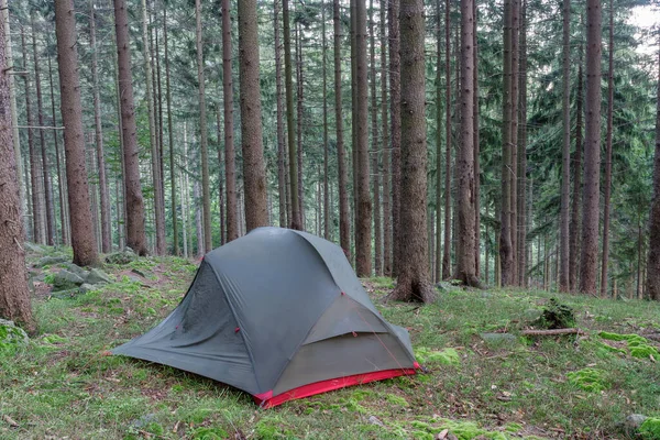 贝斯基山云杉林 轻量级独立立式三季双人帐篷 内帐篷身躯多雨 晚上在森林上 — 图库照片