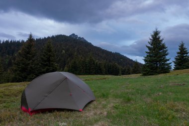 Yeşil hafif, üç sezonluk iki kişilik çadır sabah otların içinde dağ kolunun üzerinde. Arka planda Velky Rozsutec. Mala Fatra Dağları, Slovakya.