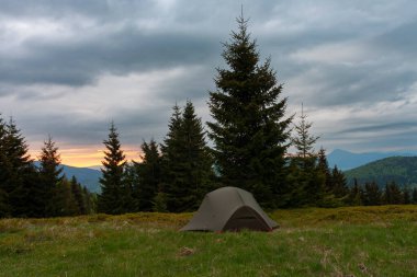 Yeşil hafif, üç sezonluk iki kişilik çadır sabah otların içinde dağ kolunun üzerinde. Arka planda Mala Fatra dağları, Slovakya.