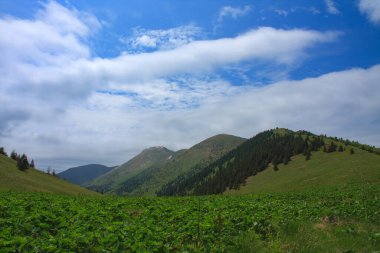 Stoh 'tan Steny' nin kuzey ve güney zirvesine, Mala Fatra, Slovakya, bahar bulutlu günü
