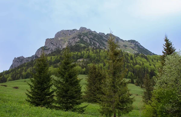 Velky Rozsutec Montagna Nel Parco Nazionale Mala Fatra Slovacchia Giornata — Foto Stock