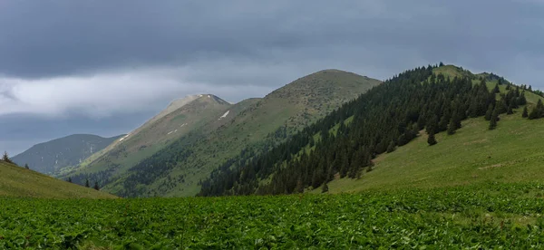 Widok Przełęczy Stoh Steny Północny Południowy Szczyt Mala Fatra Słowacja — Zdjęcie stockowe