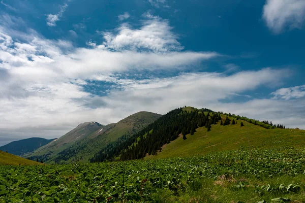 在多云的春天 从Stoh到斯洛伐克Mala Fatra的Steny北峰和南峰的景色 — 图库照片