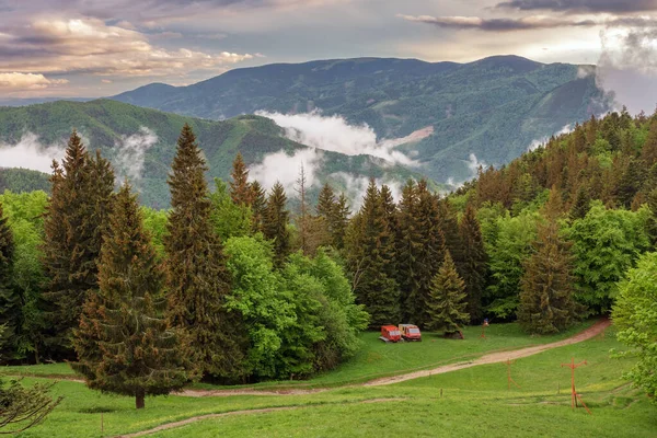 Två Snökatter Utsikt Från Stugan Suchy Nationalpark Mala Fatra Slovakien — Stockfoto
