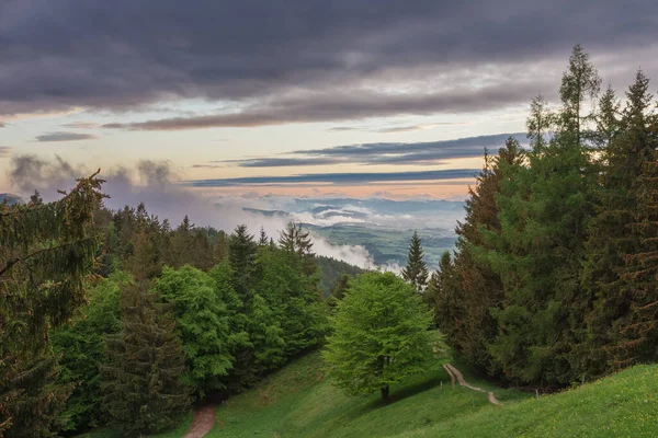 Вид Chalet Suchy Національний Парк Mala Fatra Словаччина Весняний Захід — стокове фото