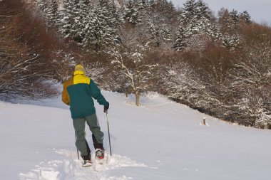 Adam arkasını döndü, kışın çayırlarda yürüyüş direkleri ve kar ayakkabılarıyla yürüyordu, kar yağdıktan sonra güneşli bir sabahtı.. 
