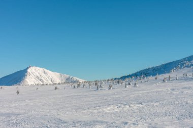 Snezka dağının kayalık zirvesi, krkonose dağları. Snezka, Çek Cumhuriyeti ile Polonya arasındaki sınırda yer alan bir dağdır..