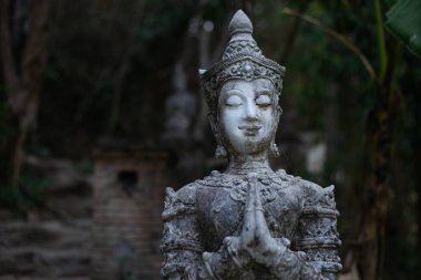 Shad cinsinden bir Buda açısı durumu