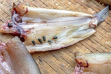Snakehead fish on a woven bamboo tray with bluebottles flies often used as a source of protein and is considered a traditional food. This process is a common way to preserve food for consumption.
