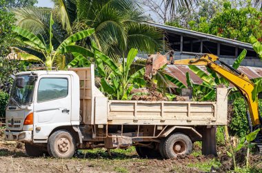 Kamyon ve Kazıcı Birlikte Çalışıyor: Bir kazıcı, verimli bir işbirliği ve bu iki makinenin verimliliğini göstermek için, bir kamyonun arkasına toprak topluyor..