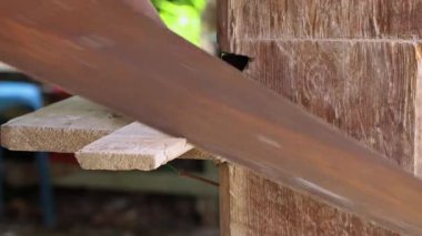 Bir ustalık ve titiz bir el testeresi tahtaları hareket ettirerek kesiyor ve marangozluk ve elle kesim tekniklerine odaklanıyor.