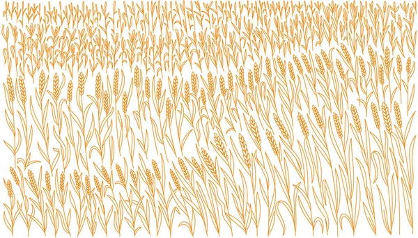 Düzenlenebilir Inme Kalınlığı Vektör Hattı Yapraklar Buğday Başakları — Stok Vektör