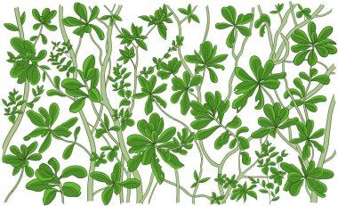 El çizimi vektör çizimi.