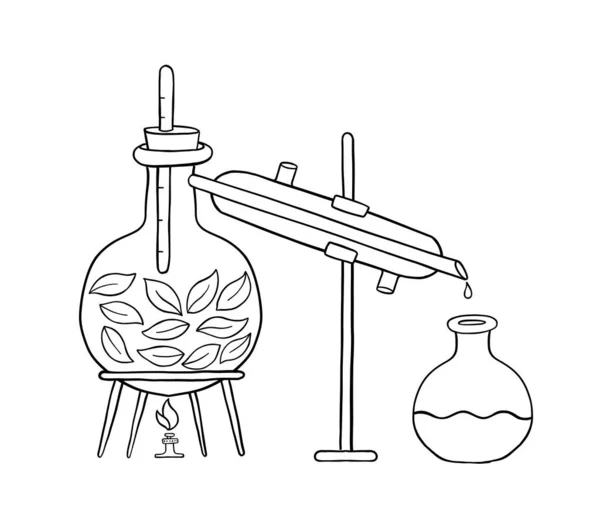 エッセンシャルオイルの製造 蒸留芳香族油生産 香水物質蒸留装置 ベクターインフォグラフィックイラスト — ストックベクタ