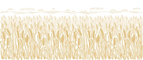 可编辑的笔划厚度 矢量线 小麦的叶子和耳朵 面包店包装包装设计 横向横幅 — 图库矢量图片