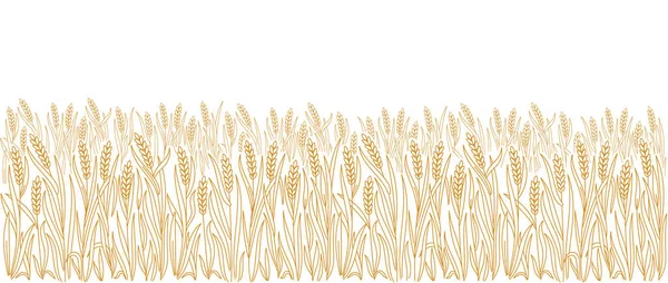 可编辑的笔划厚度 矢量线 黑麦或大麦的叶子和穗 面包店包装包装设计 横向横幅 — 图库矢量图片