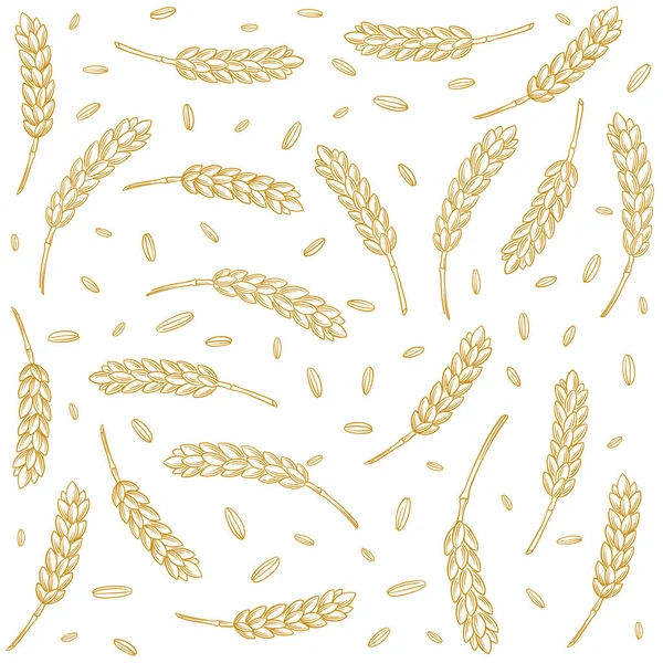 谷物图案背景 麦粒和麦穗 黑麦或大麦 用包装纸包面包 绘图手绘矢量图解 — 图库矢量图片
