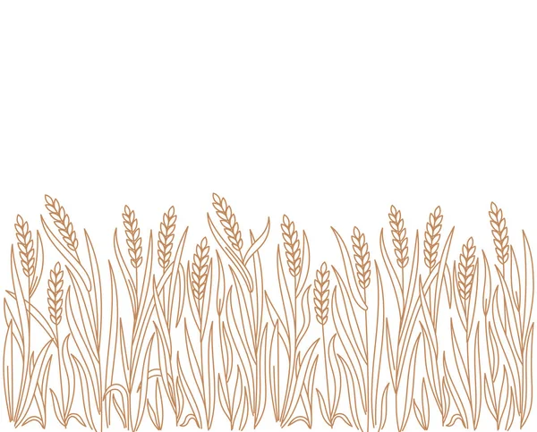 可编辑的笔划厚度 矢量线 黑麦或大麦的叶子和穗 面包店包装设计 — 图库矢量图片