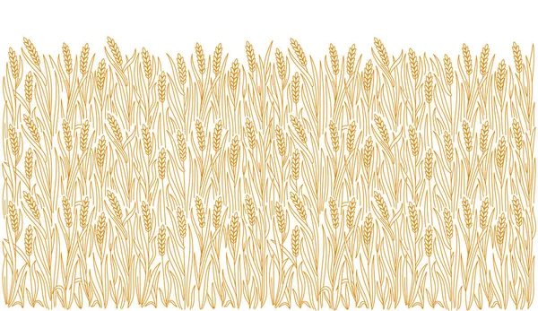 面包店包装纸设计 谷物背景 麦粒和麦穗 黑麦或大麦 矢量线图解 可编辑的提纲笔划 — 图库矢量图片