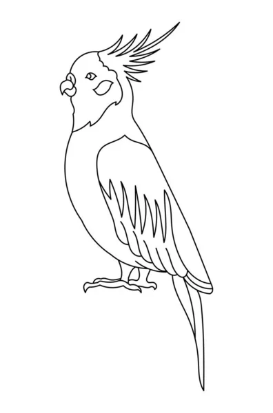 Cockatiel Parrot Bird Editable Outline Stroke Vector Line Illustration Open — Stock Vector