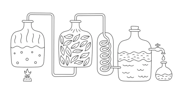 精油生产 萃取芳香油的生产 香水物质蒸馏设备 可编辑的大纲笔划 矢量信息图解 — 图库矢量图片