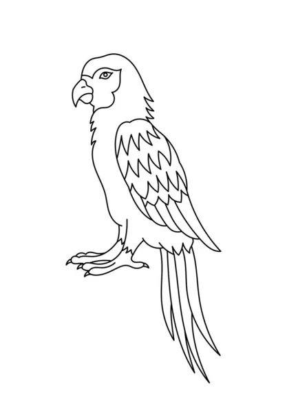 Ara Macaws Parrots Bird Editable Outline Stroke Vector Line Illustration — Stock Vector