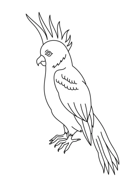 Cockatoo Bird Editable Outline Stroke Vector Line Illustration Open Paths — Stock Vector