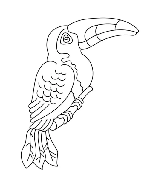 Pássaro Tropical Tucano Curso Esboço Editável Ilustração Linha Vetorial Caminhos — Vetor de Stock