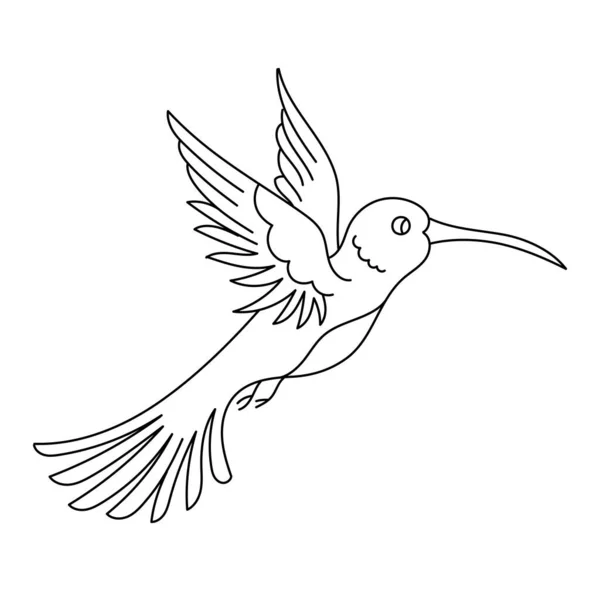 Hummingbird Bird Editable Outline Stroke Vector Line Illustration Open Paths — Stock Vector