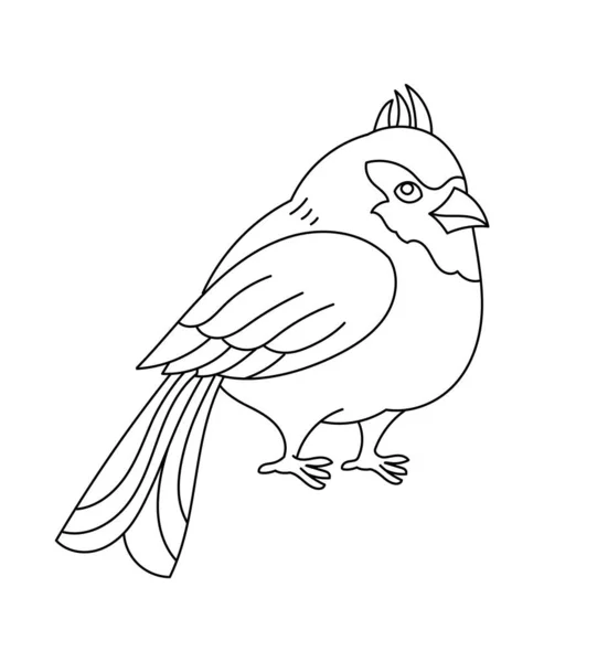 Pássaro Cardeal Norte Curso Esboço Editável Ilustração Linha Vetorial Caminhos —  Vetores de Stock