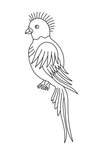 Pájaro Quetzal Trazo Contorno Editable Ilustración Línea Vectorial Caminos Abiertos — Vector de stock