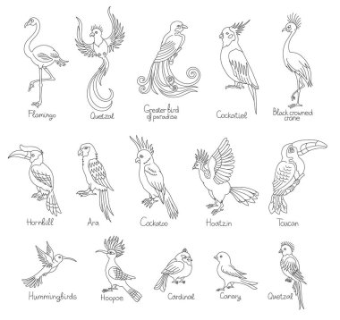 Hornbill bird. Editable outline stroke. Vector line illustration. Open paths. clipart