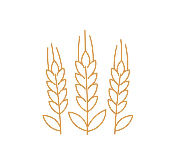 Grain Line Icon Vector Illustration Editable Outline Stroke — Stock Vector
