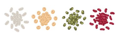 Beans design element. Legumes food. Vector illustration. clipart
