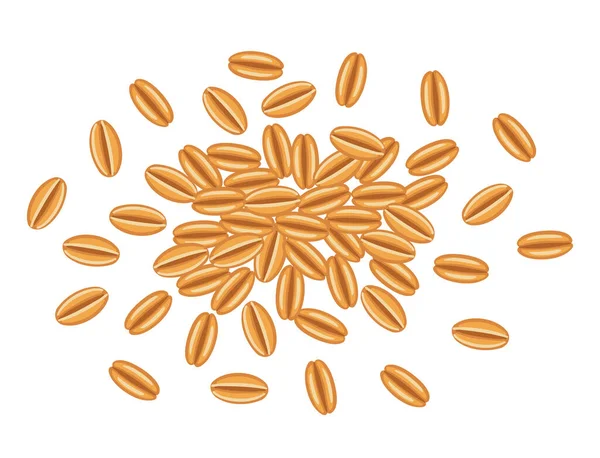 Fondo Cereales Ilustración Vectorial Dibujada Mano — Vector de stock