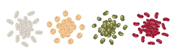Elemen Desain Kacang Legumes Makanan Ilustrasi Vektor Grafik Vektor
