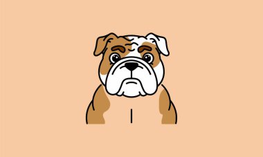 Cartoon bulldog face logo with Friendly Pet text clipart