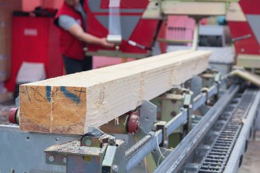 Kereste fabrikasında ahşap işçiliği. Ahşap üretimi için hammadde üreticisi olarak ormancılık endüstrisi