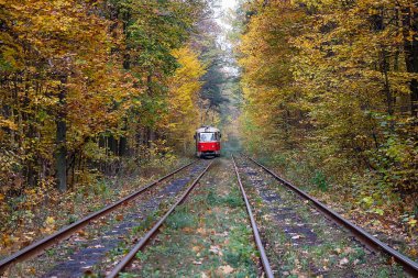 Kırmızı tramvay yolculuğu bir sonbahar ormanı. Taşıma