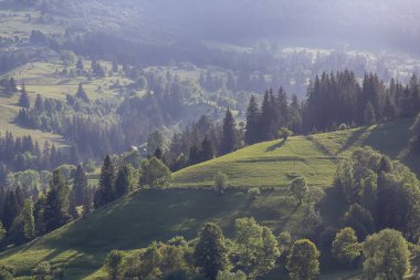 Karpatya dağlarında tepeleri olan resim gibi bir manzara. Ukrayna